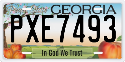 GA license plate PXE7493