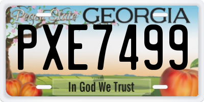 GA license plate PXE7499