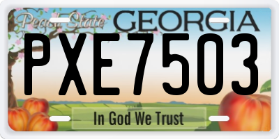 GA license plate PXE7503