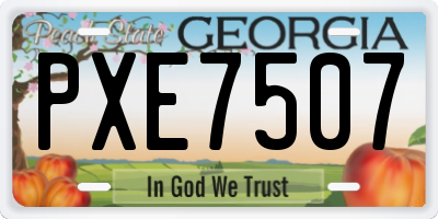 GA license plate PXE7507
