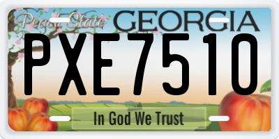 GA license plate PXE7510