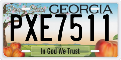 GA license plate PXE7511