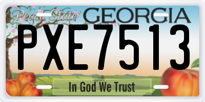 GA license plate PXE7513
