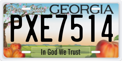 GA license plate PXE7514
