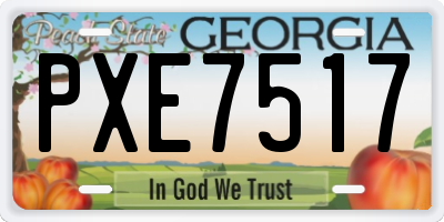 GA license plate PXE7517
