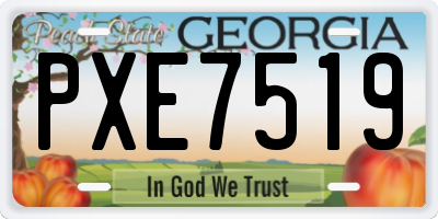 GA license plate PXE7519