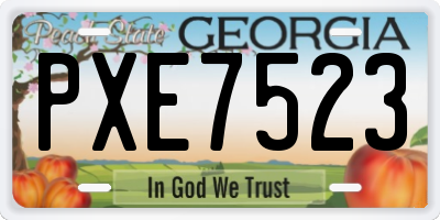 GA license plate PXE7523