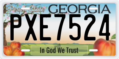 GA license plate PXE7524