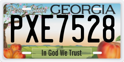 GA license plate PXE7528