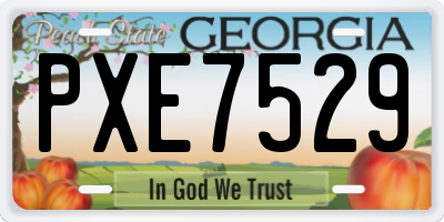 GA license plate PXE7529