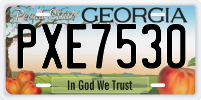 GA license plate PXE7530