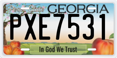GA license plate PXE7531