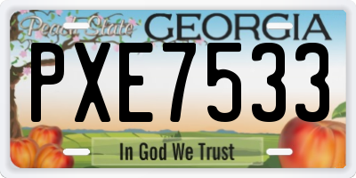 GA license plate PXE7533