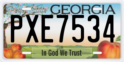 GA license plate PXE7534