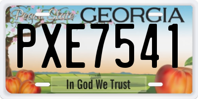 GA license plate PXE7541