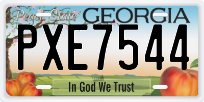GA license plate PXE7544