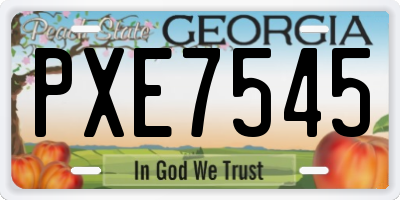 GA license plate PXE7545