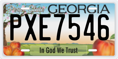 GA license plate PXE7546
