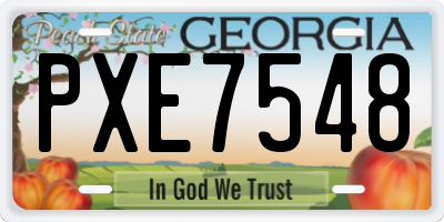 GA license plate PXE7548