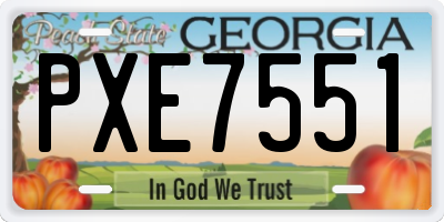 GA license plate PXE7551