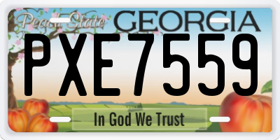 GA license plate PXE7559