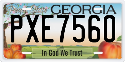 GA license plate PXE7560
