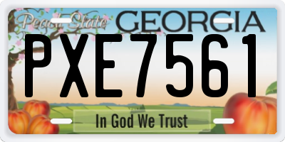 GA license plate PXE7561