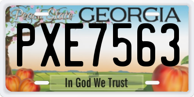 GA license plate PXE7563