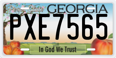 GA license plate PXE7565