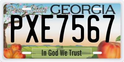GA license plate PXE7567