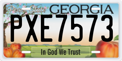 GA license plate PXE7573
