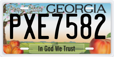 GA license plate PXE7582