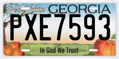 GA license plate PXE7593