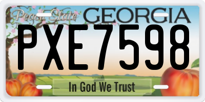 GA license plate PXE7598