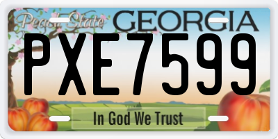 GA license plate PXE7599