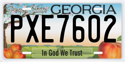 GA license plate PXE7602