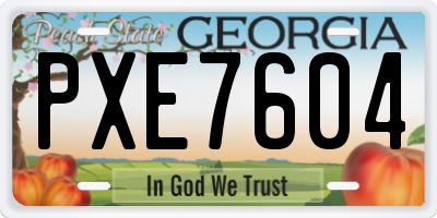 GA license plate PXE7604