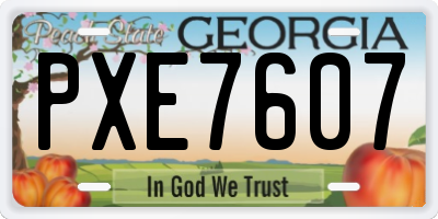 GA license plate PXE7607