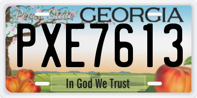 GA license plate PXE7613