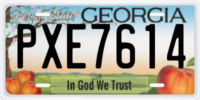 GA license plate PXE7614