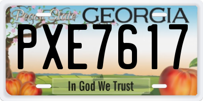 GA license plate PXE7617