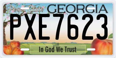 GA license plate PXE7623