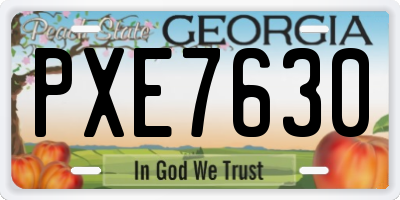 GA license plate PXE7630