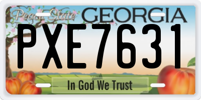 GA license plate PXE7631