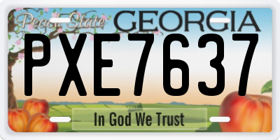 GA license plate PXE7637