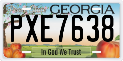 GA license plate PXE7638