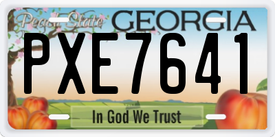 GA license plate PXE7641