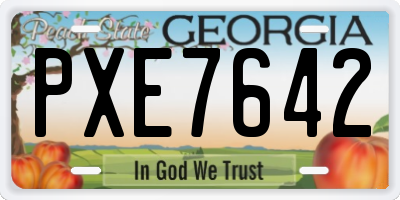 GA license plate PXE7642