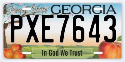 GA license plate PXE7643