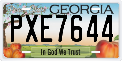 GA license plate PXE7644